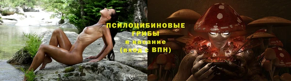 крисы Зеленокумск