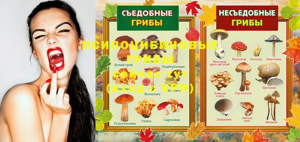 дмт Зерноград