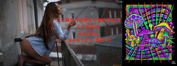 крисы Зеленокумск