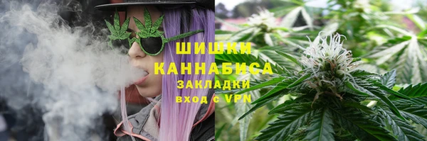 крисы Зеленокумск