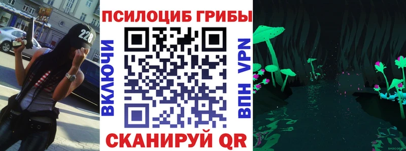 Купить где  Кириши  Псилоцибиновые грибы GOLDEN TEACHER 